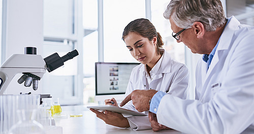 Eine junge Wissenschaftler und ihr Mentor bei der Forschungsarbeitn